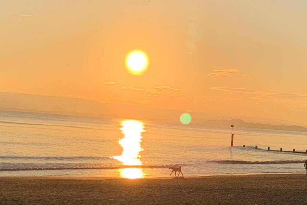 Bournemouth Nr Town Beach Train Coach Shops Lovely Entire Apartment Allows Quiet Good Dogs Екстериор снимка