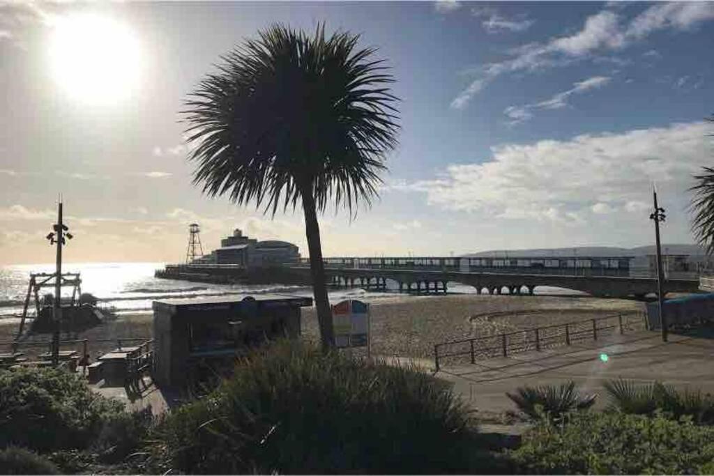 Bournemouth Nr Town Beach Train Coach Shops Lovely Entire Apartment Allows Quiet Good Dogs Екстериор снимка